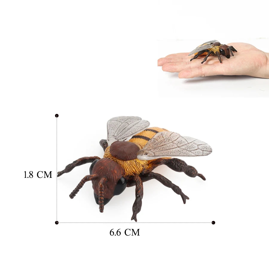 Realistic Insect Figure and Life Cycle Toy Set