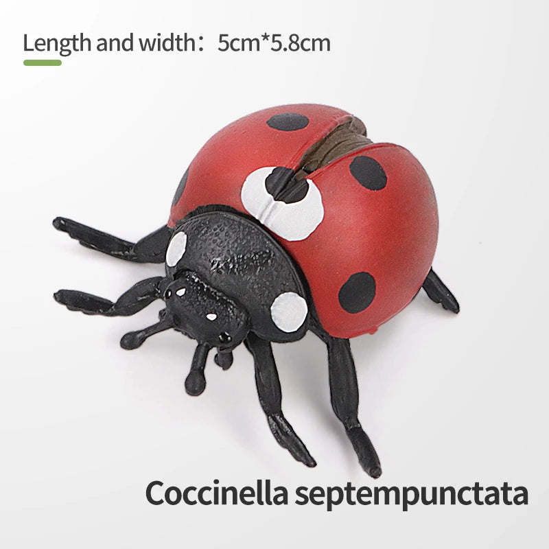 Realistic Insect and Small Wildlife Figure