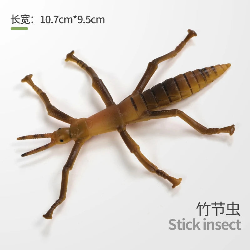 Realistic Insect and Small Wildlife Figure