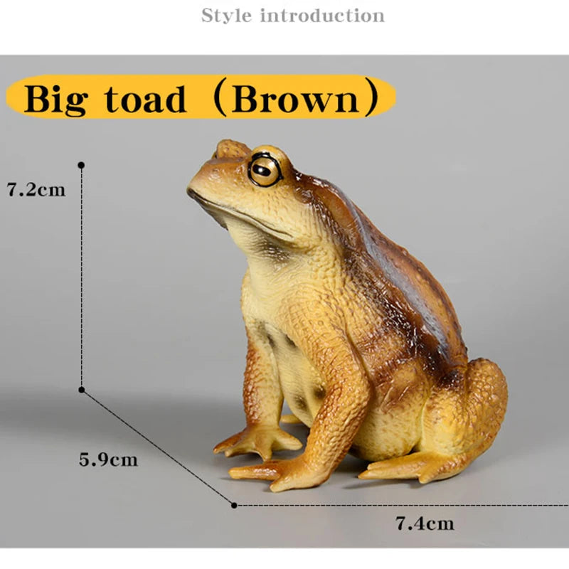 Realistic Toad Animal Figure