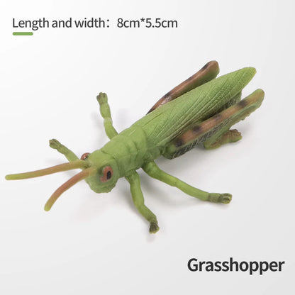 Realistic Insect and Small Wildlife Figure