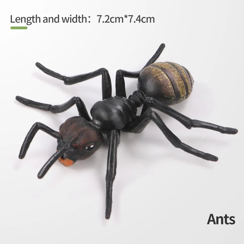 Realistic Insect and Small Wildlife Figure