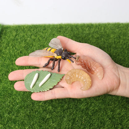 Realistic Insect Figure and Life Cycle Toy Set