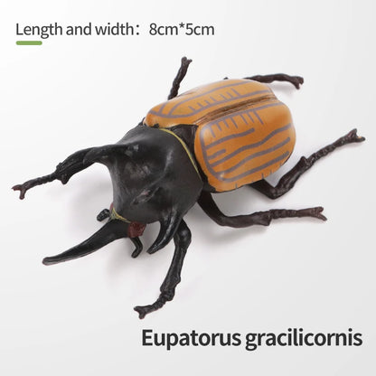 Realistic Insect and Small Wildlife Figure
