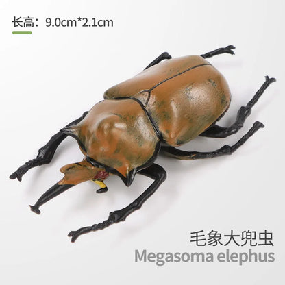 Realistic Insect and Small Wildlife Figure