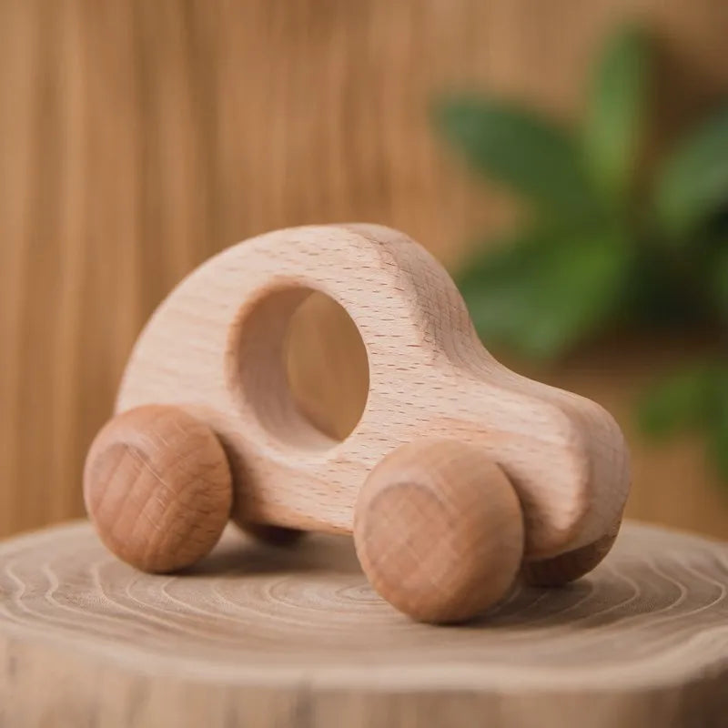 Wooden Push Along Vehicle Toy for Kids Ages 3 Plus