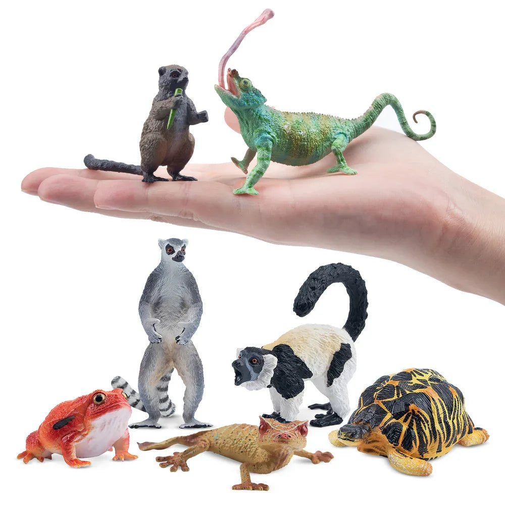 12 Piece Madagascar Wild Animal Figure Set