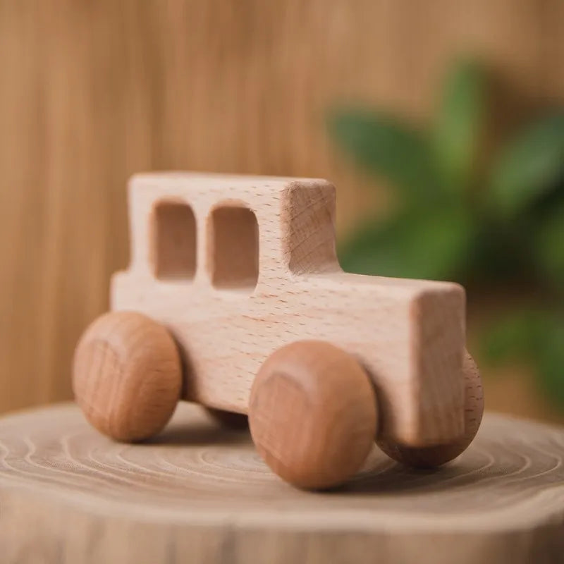 Wooden Push Along Vehicle Toy for Kids Ages 3 Plus