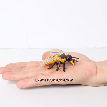 Realistic Insect Figure and Life Cycle Toy Set