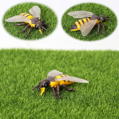 Realistic Insect Figure and Life Cycle Toy Set