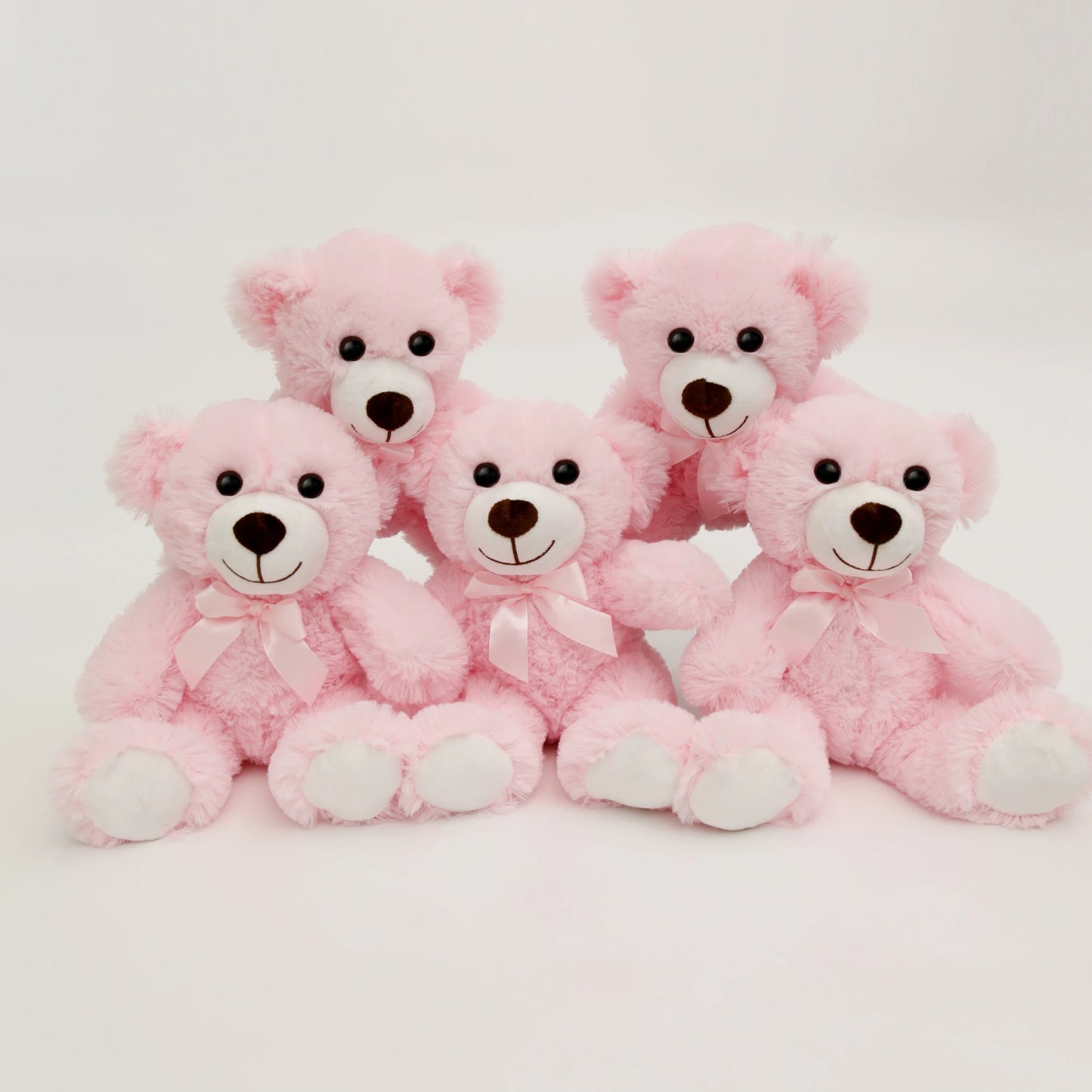 5 Piece Teddy Bear Plush Set