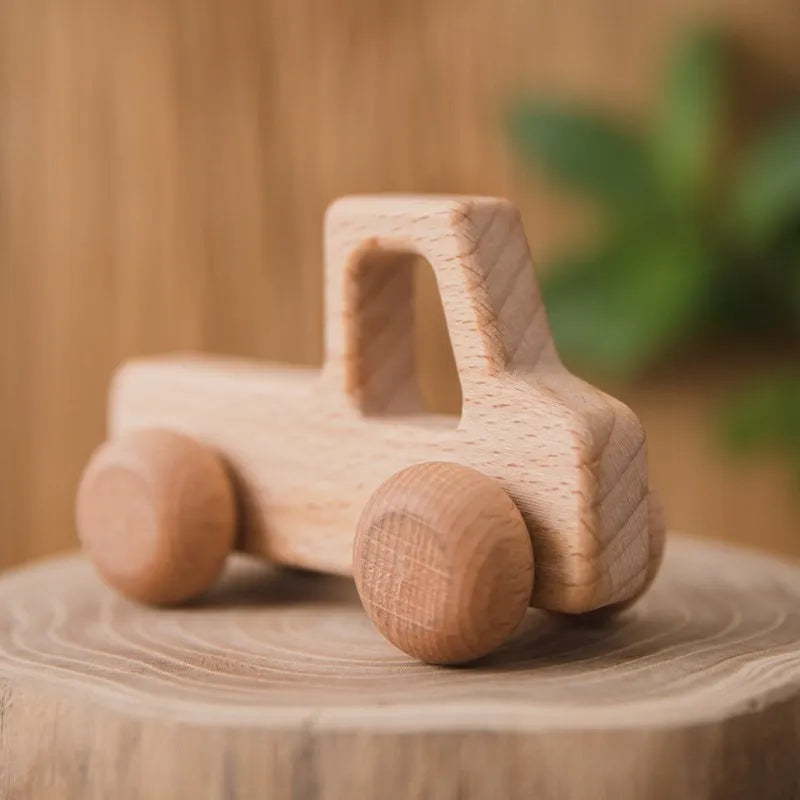 Wooden Push Along Vehicle Toy for Kids Ages 3 Plus