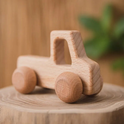 Wooden Push Along Vehicle Toy for Kids Ages 3 Plus
