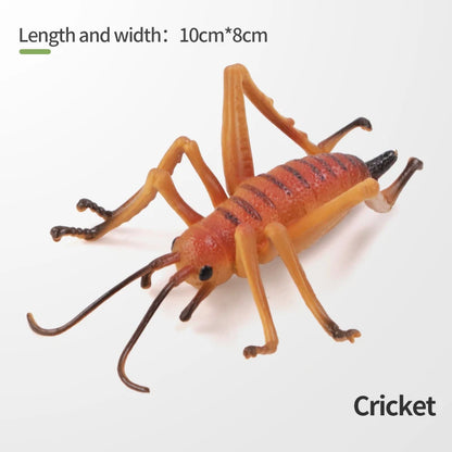 Realistic Insect and Small Wildlife Figure