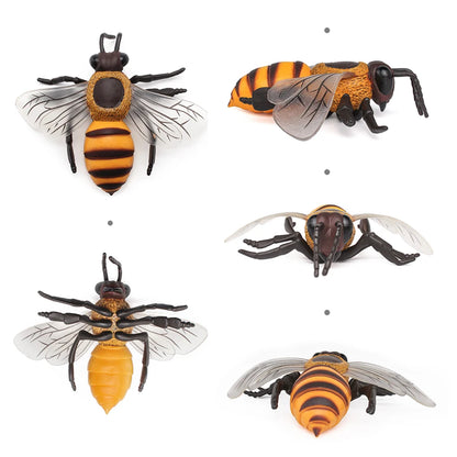 Realistic Insect Figure and Life Cycle Toy Set