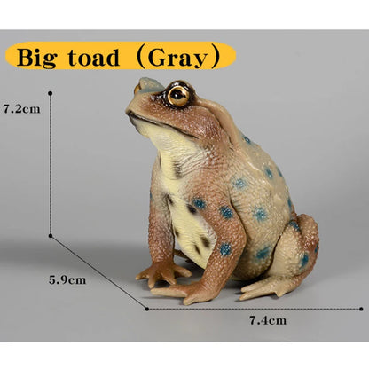 Realistic Toad Animal Figure