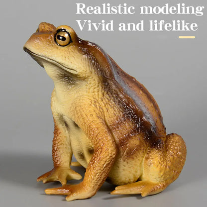 Realistic Toad Animal Figure