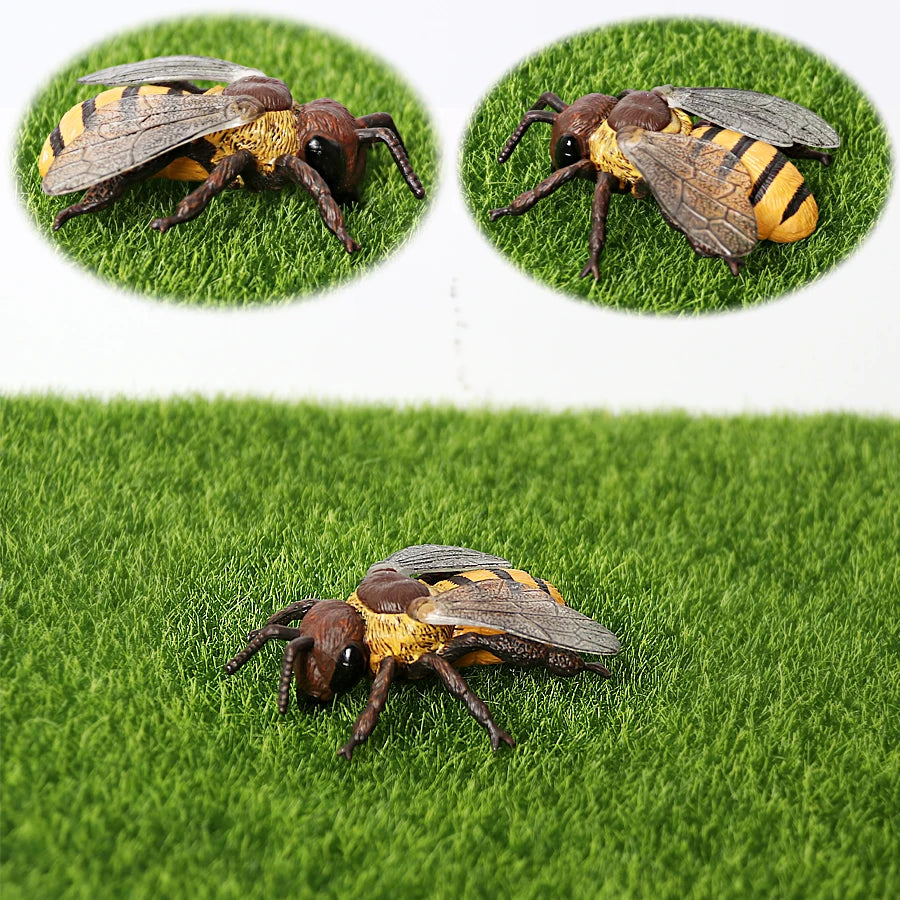 Realistic Insect Figure and Life Cycle Toy Set