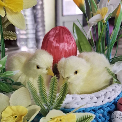 Realistic Plush Chick Toy for Kids