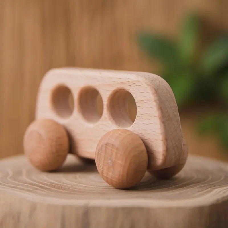 Wooden Push Along Vehicle Toy for Kids Ages 3 Plus