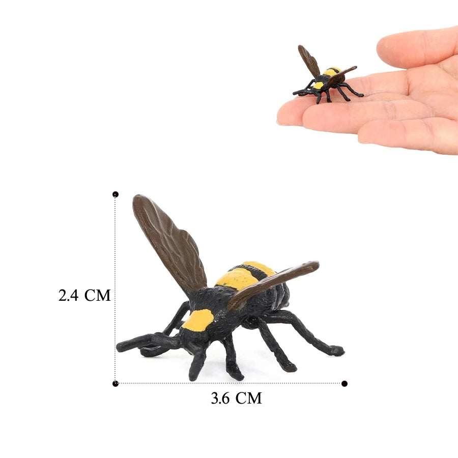 Realistic Insect Figure and Life Cycle Toy Set