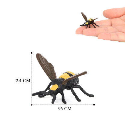 Realistic Insect Figure and Life Cycle Toy Set