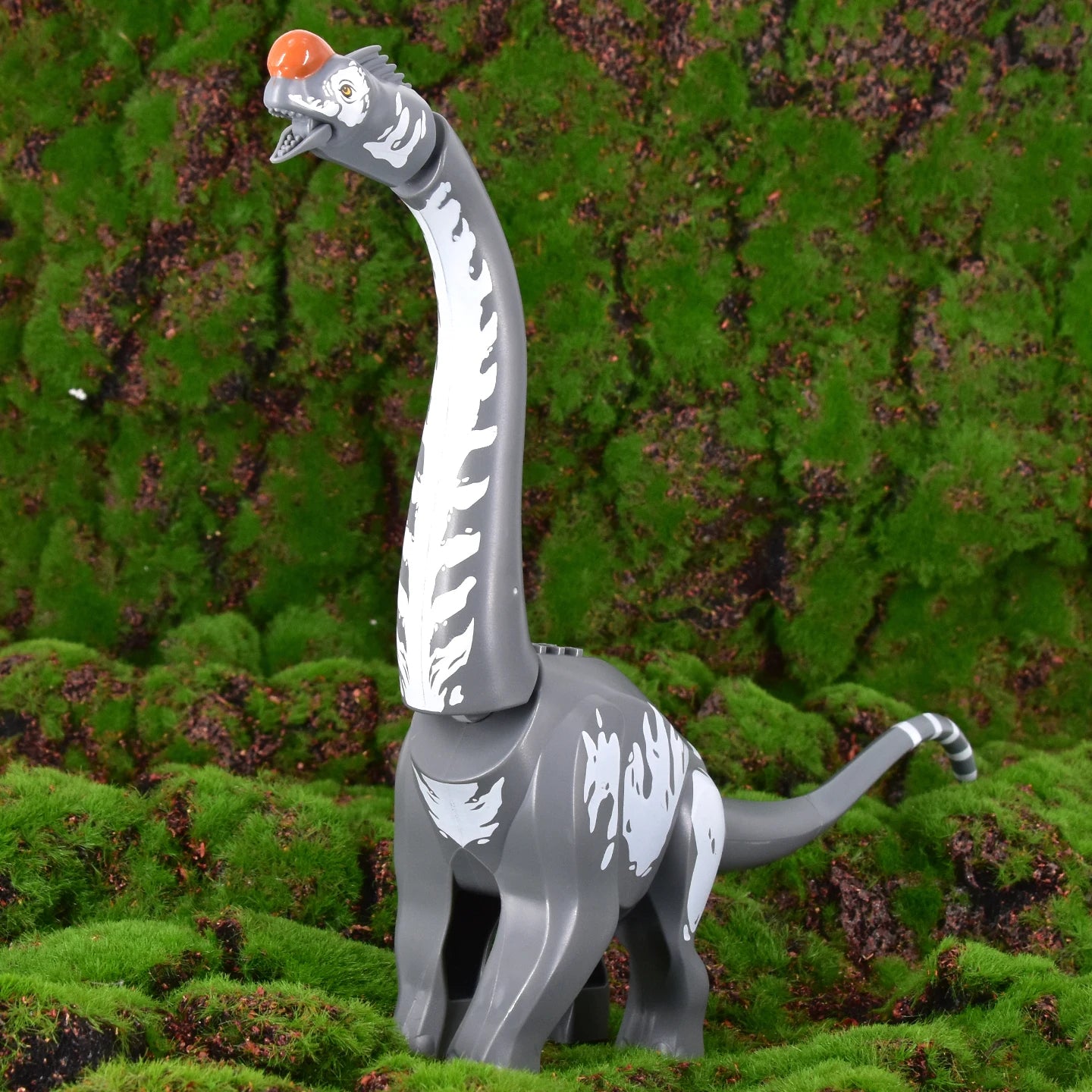 Titanosaurus Dinosaur Building Model