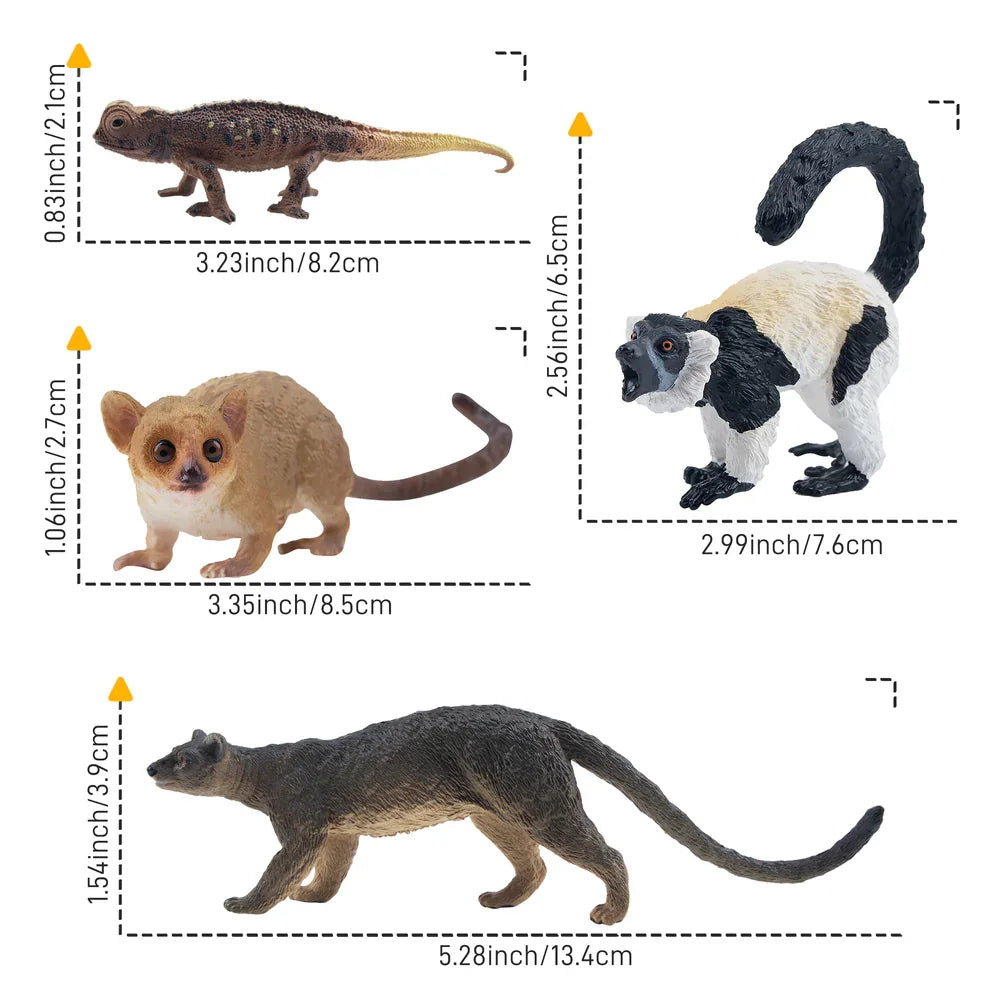 12 Piece Madagascar Wild Animal Figure Set