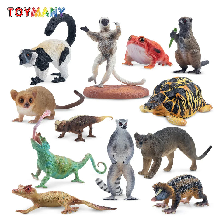 12 Piece Madagascar Wild Animal Figure Set