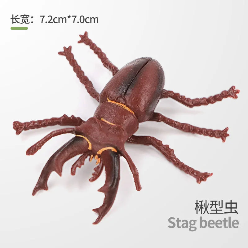 Realistic Insect and Small Wildlife Figure