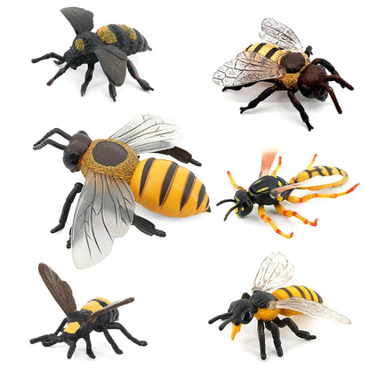 Realistic Insect Figure and Life Cycle Toy Set