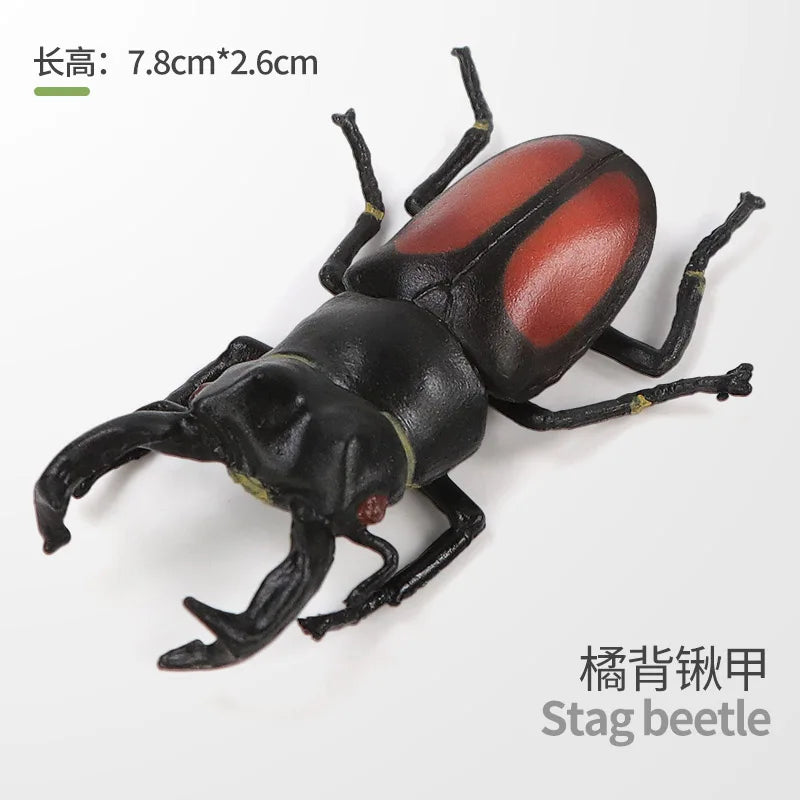 Realistic Insect and Small Wildlife Figure