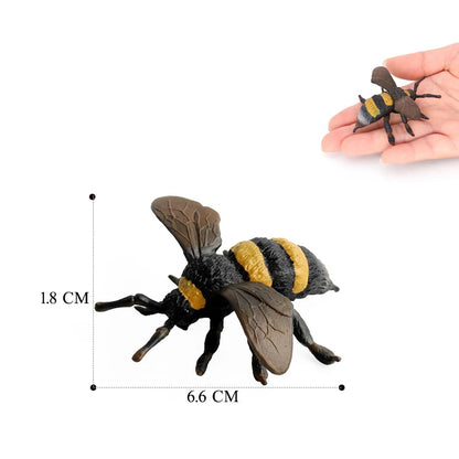 Realistic Insect Figure and Life Cycle Toy Set
