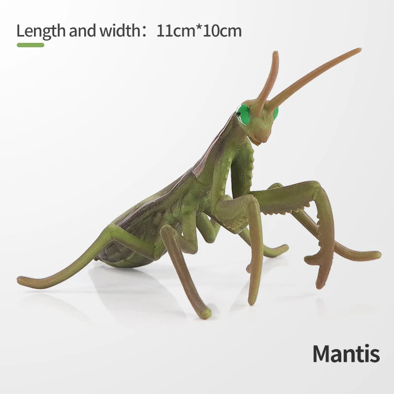 Realistic Insect and Small Wildlife Figure