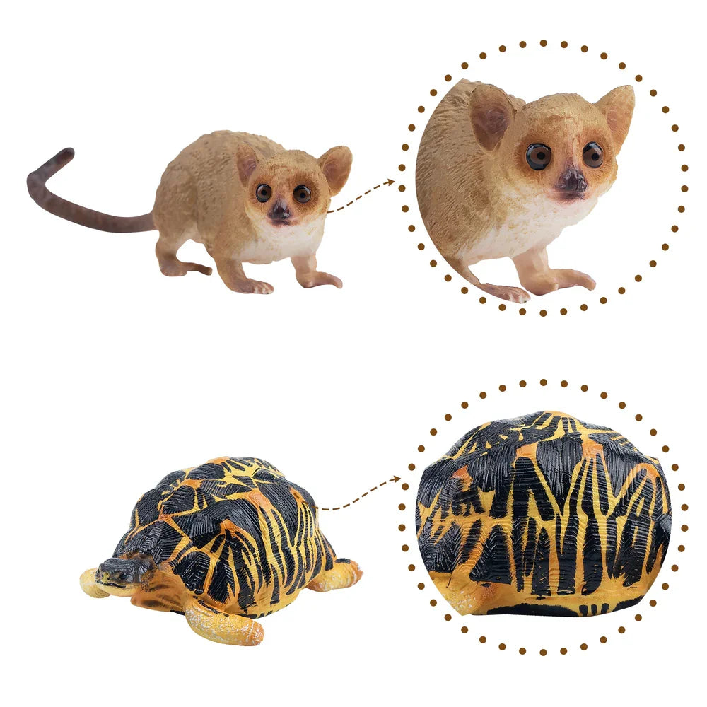 12 Piece Madagascar Wild Animal Figure Set