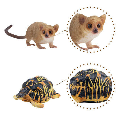 12 Piece Madagascar Wild Animal Figure Set