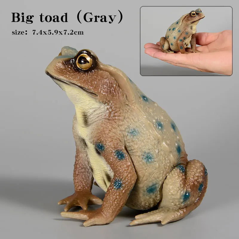 Realistic Toad Animal Figure