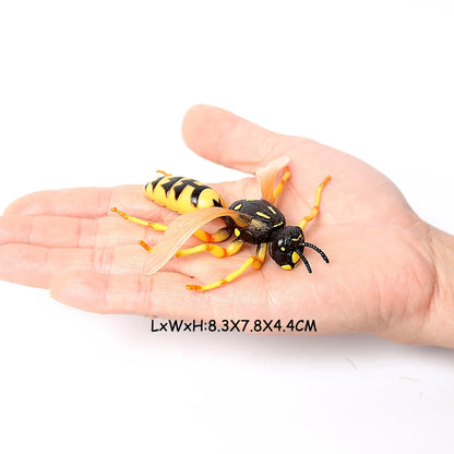 Realistic Insect Figure and Life Cycle Toy Set